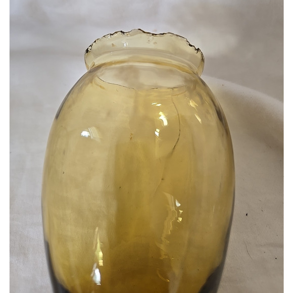 Vintage MCM Dragonfly Bug Light Amber Glass Body Sconce Wired *read* - Picture 16 of 16